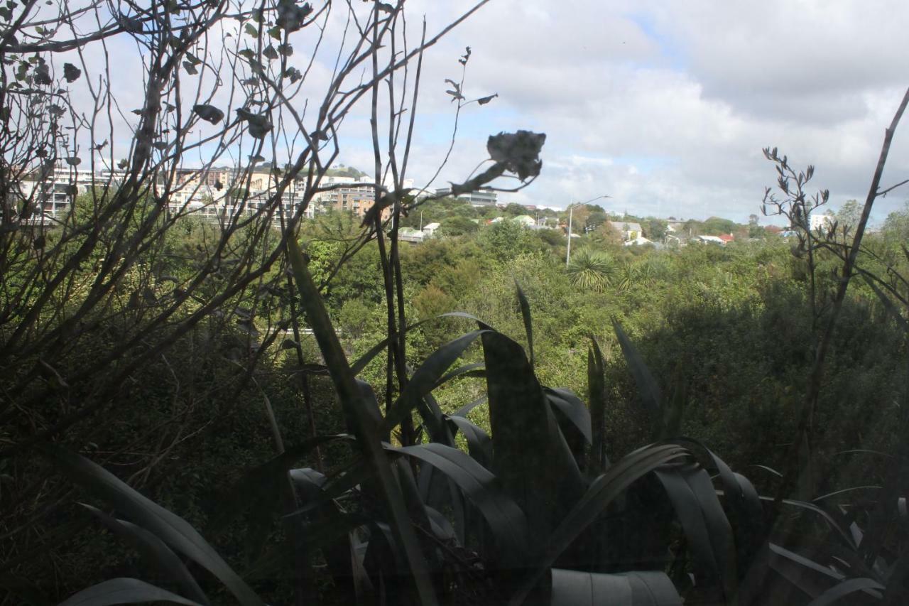 The Burgoyne Bnb Auckland Bagian luar foto